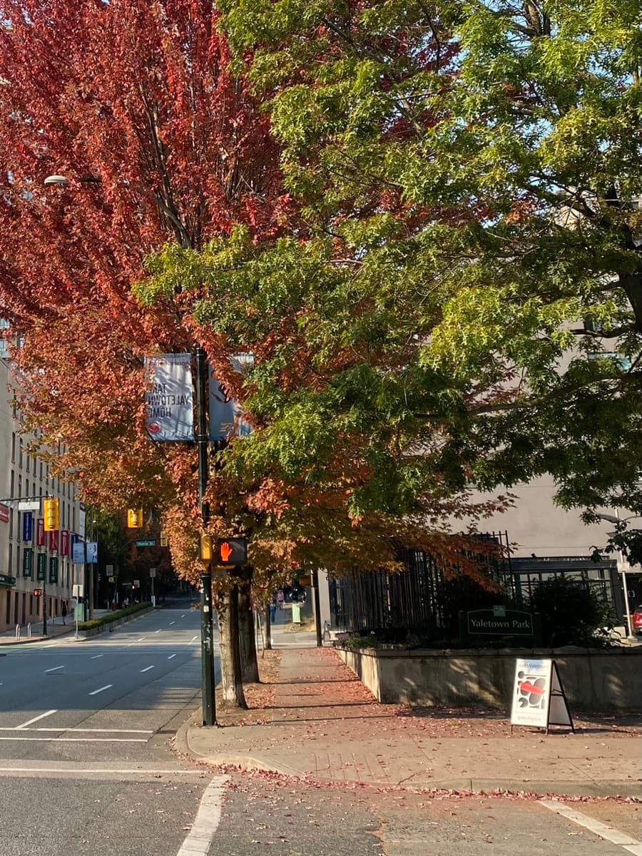 2022-oct-downtown-10