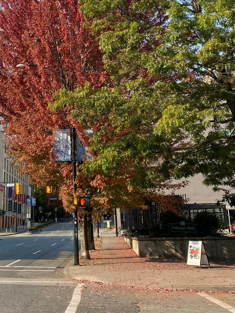 2022-oct-downtown-10