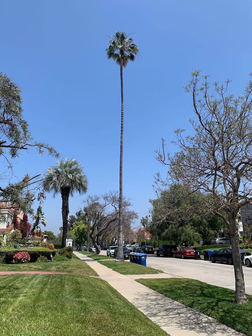 2023-la1