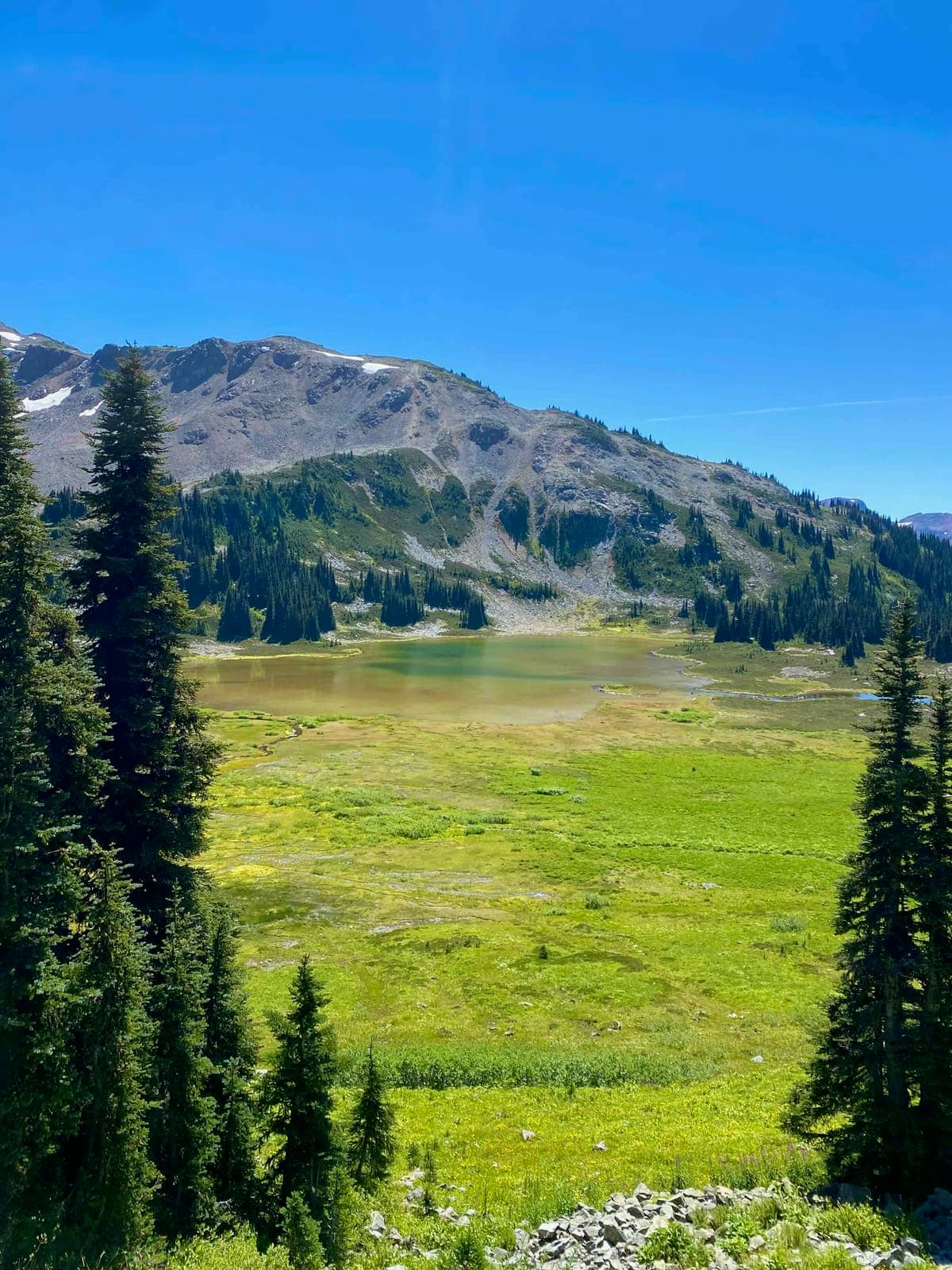 2023-garibaldi-10