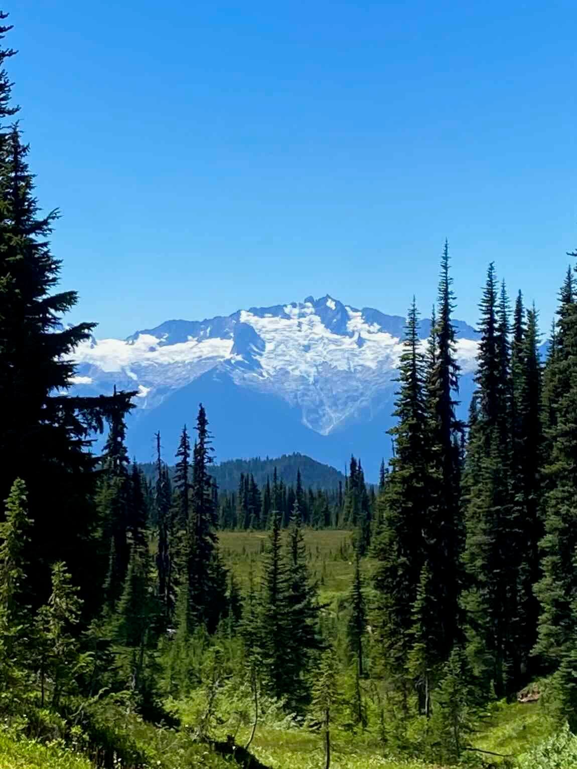 2023-garibaldi-15