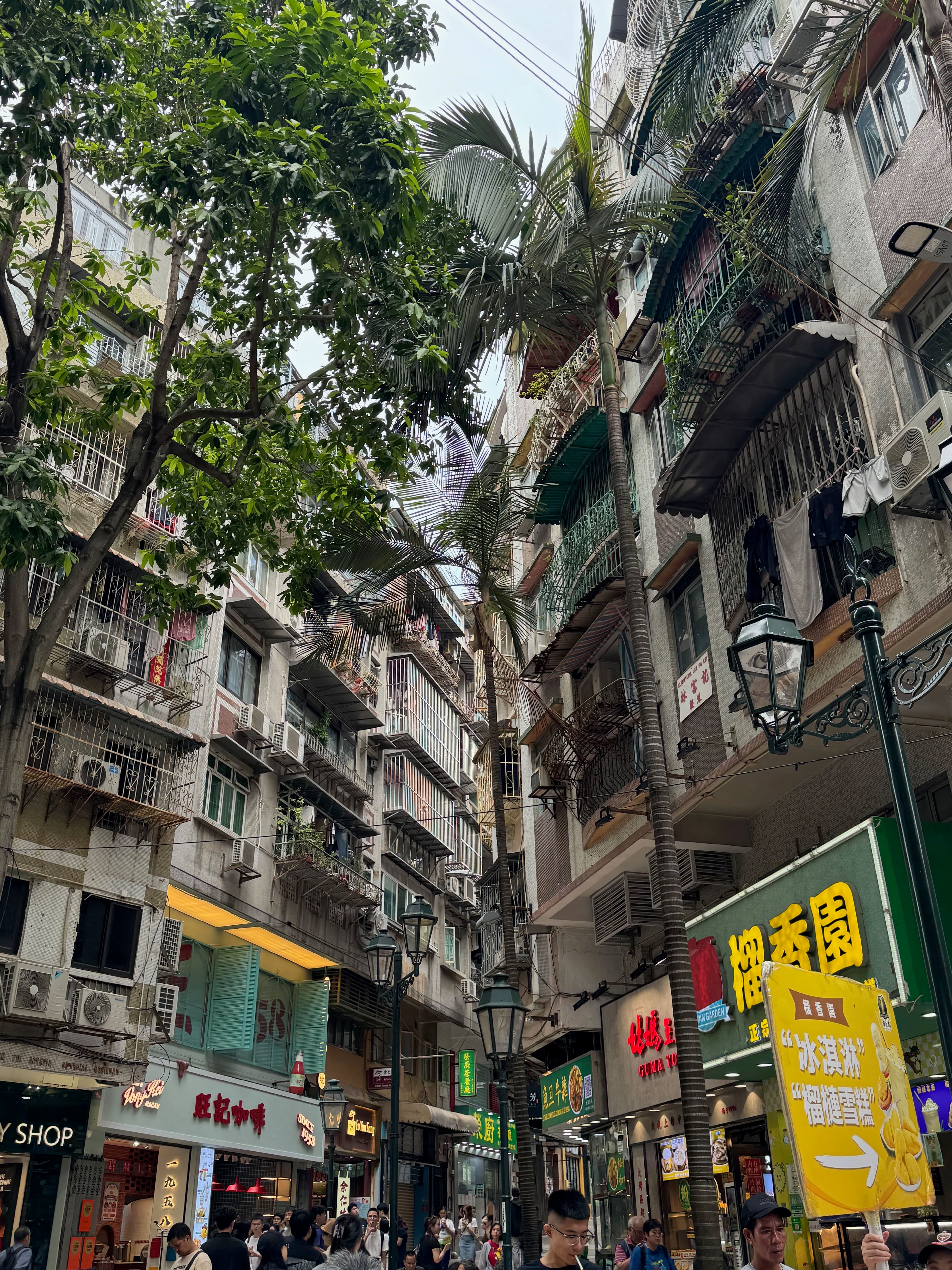 2025-hongkong-macau-30