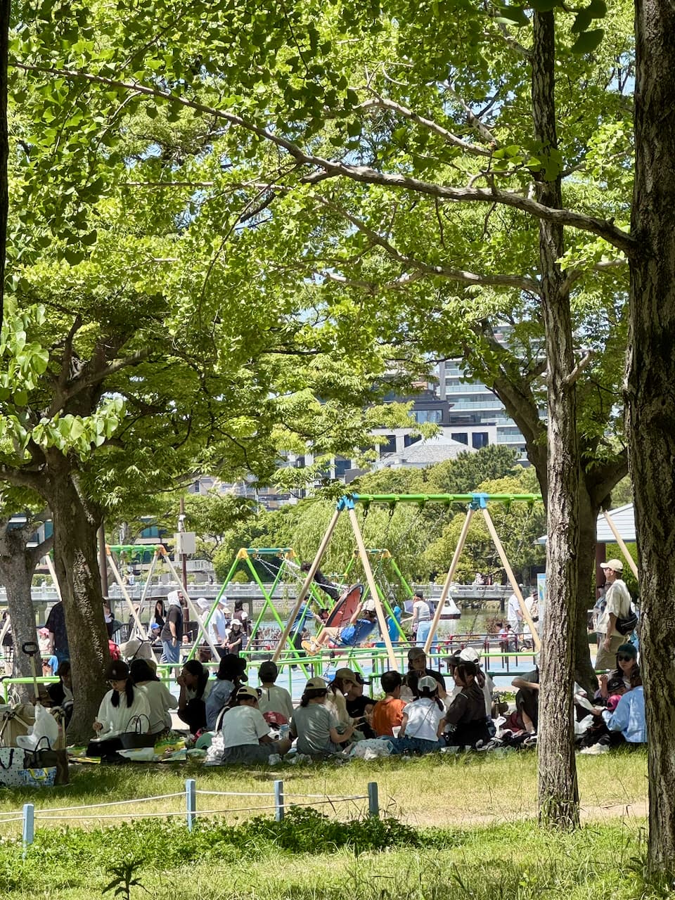 2026-may-fukuoka-10
