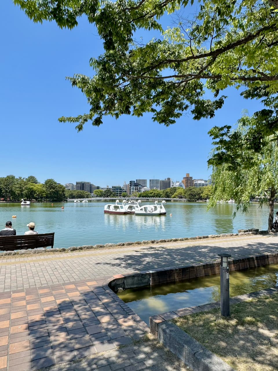 2026-may-fukuoka-11