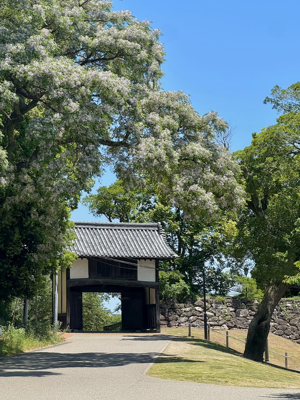 2026-may-fukuoka-14