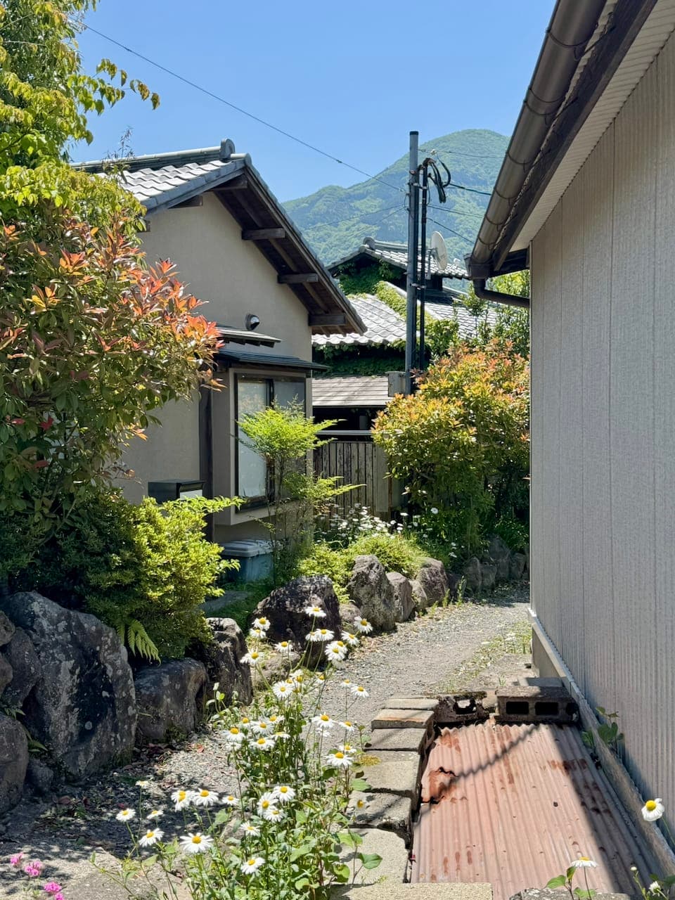 2026-may-fukuoka-23