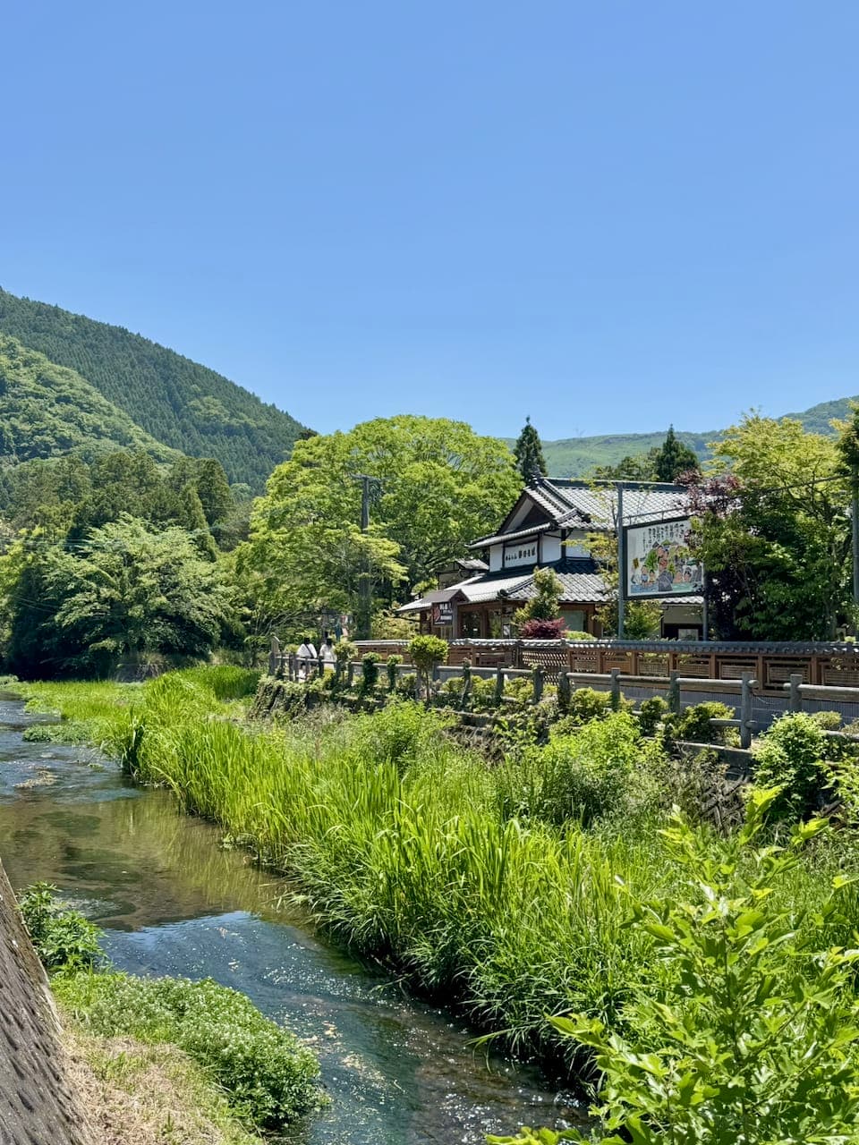 2026-may-fukuoka-24