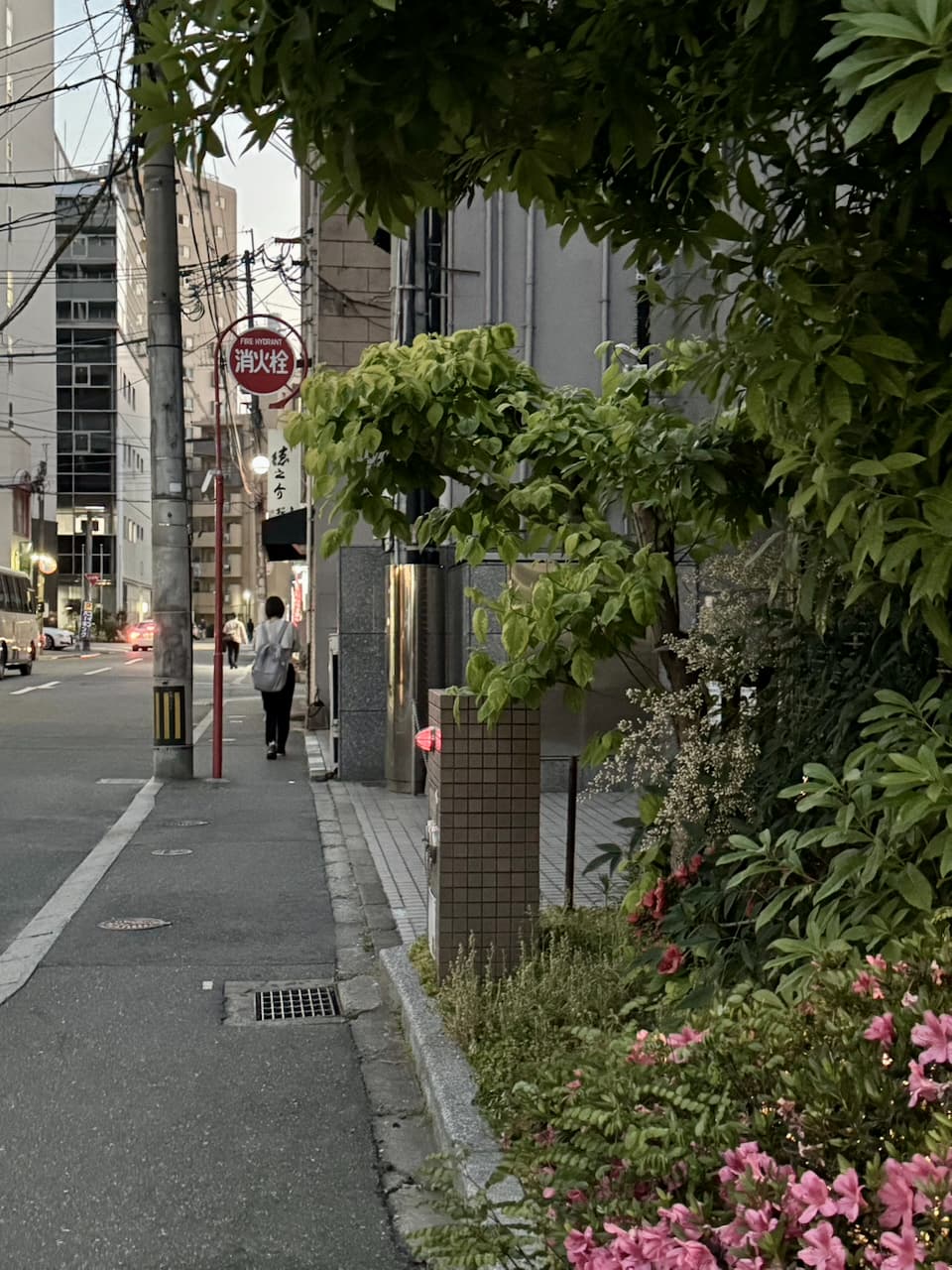 2026-may-fukuoka-6