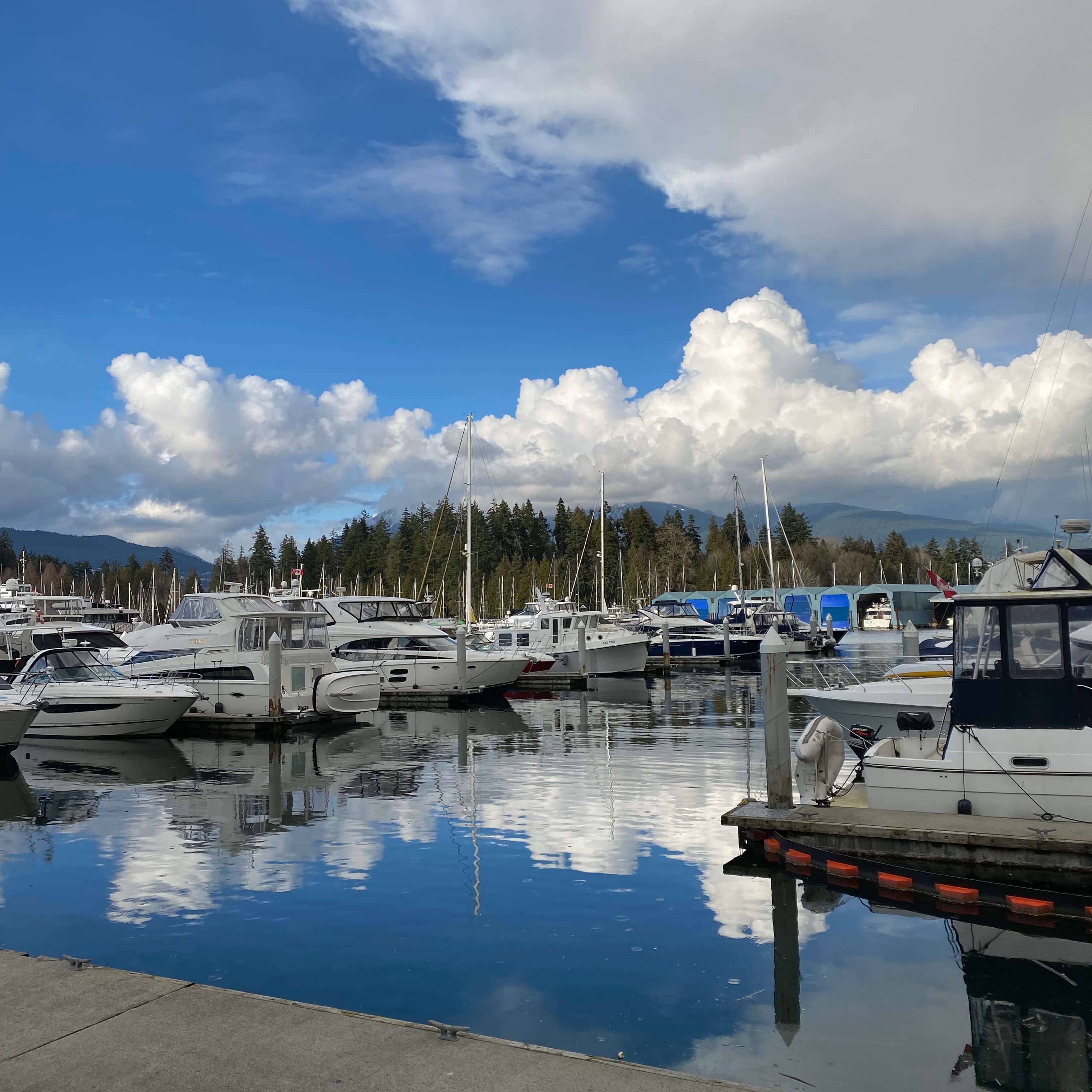 vancouver-home-141