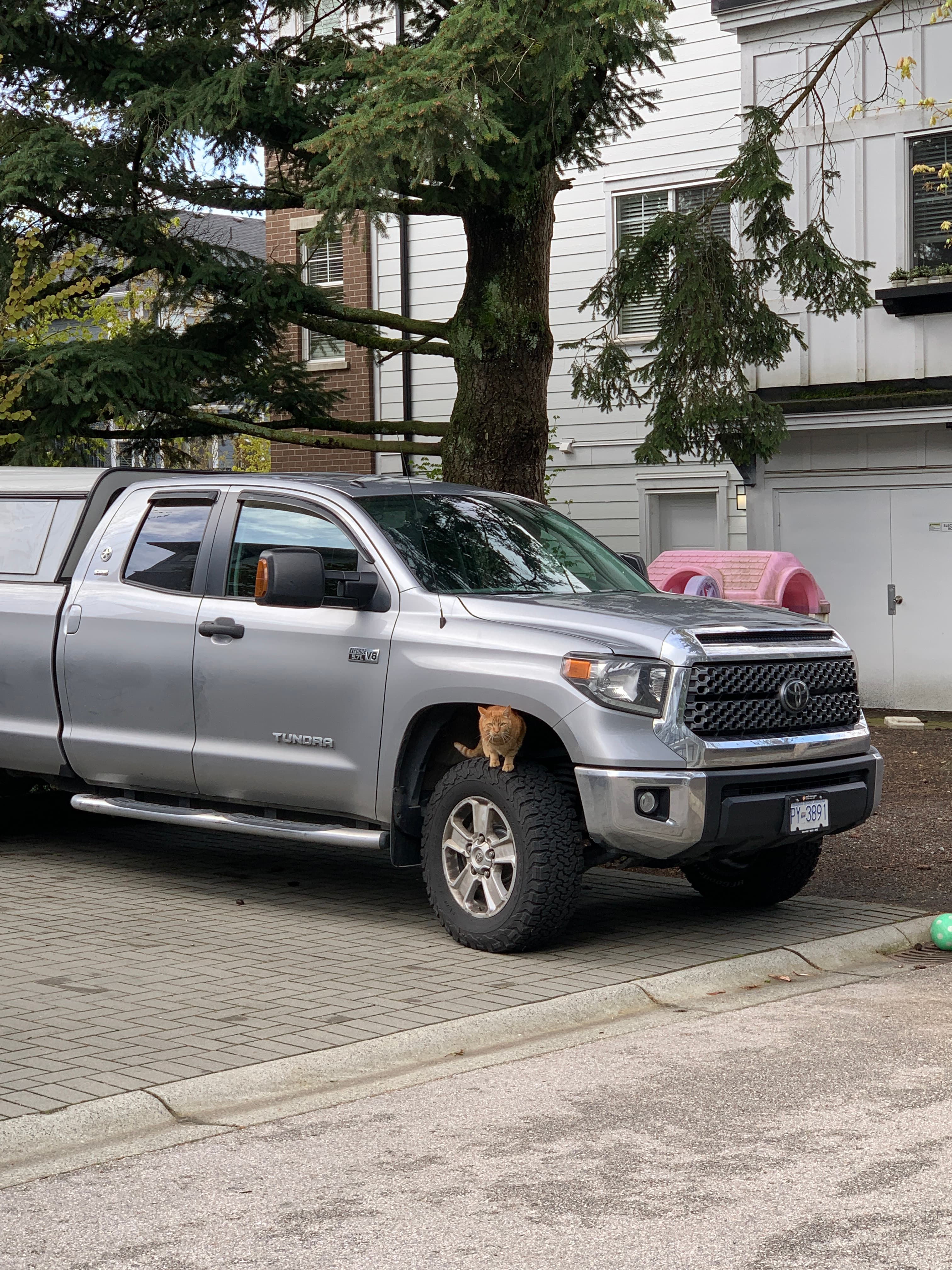 vancouver-home-148