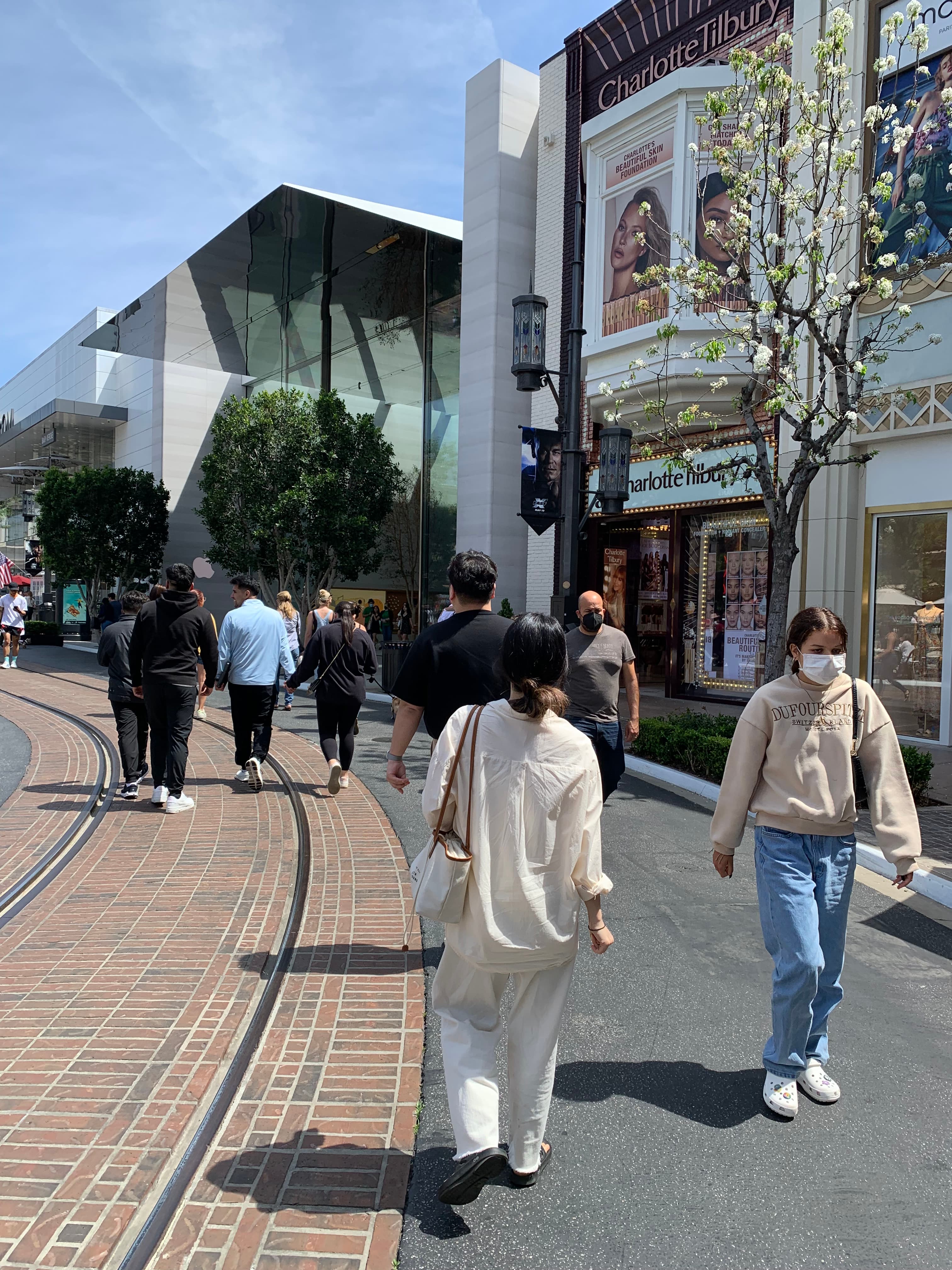 los-angeles-with-bluebottle