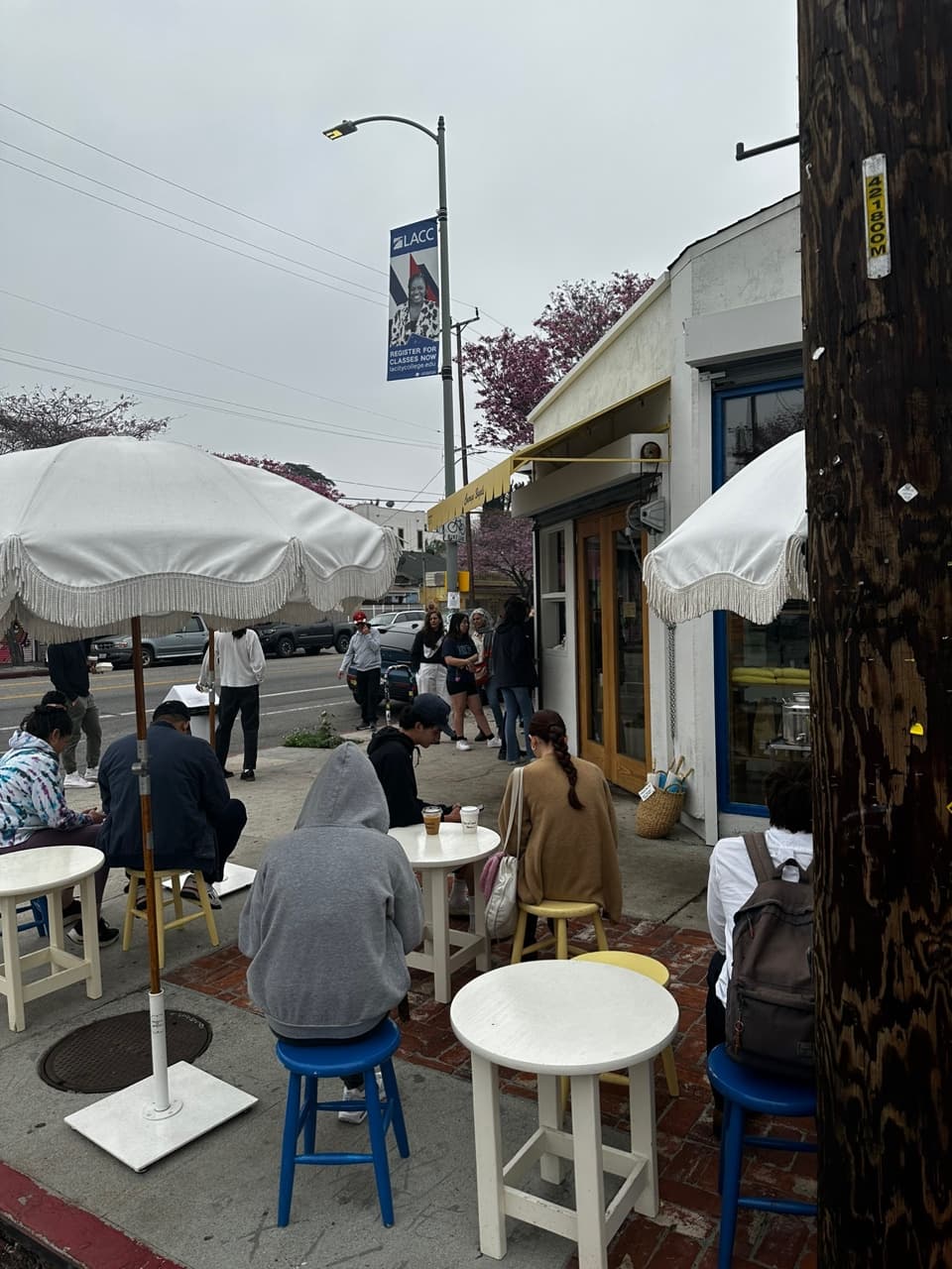 los-angeles-with-bluebottle