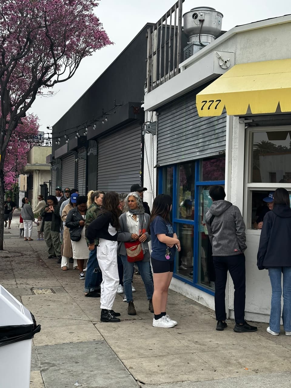 los-angeles-with-bluebottle