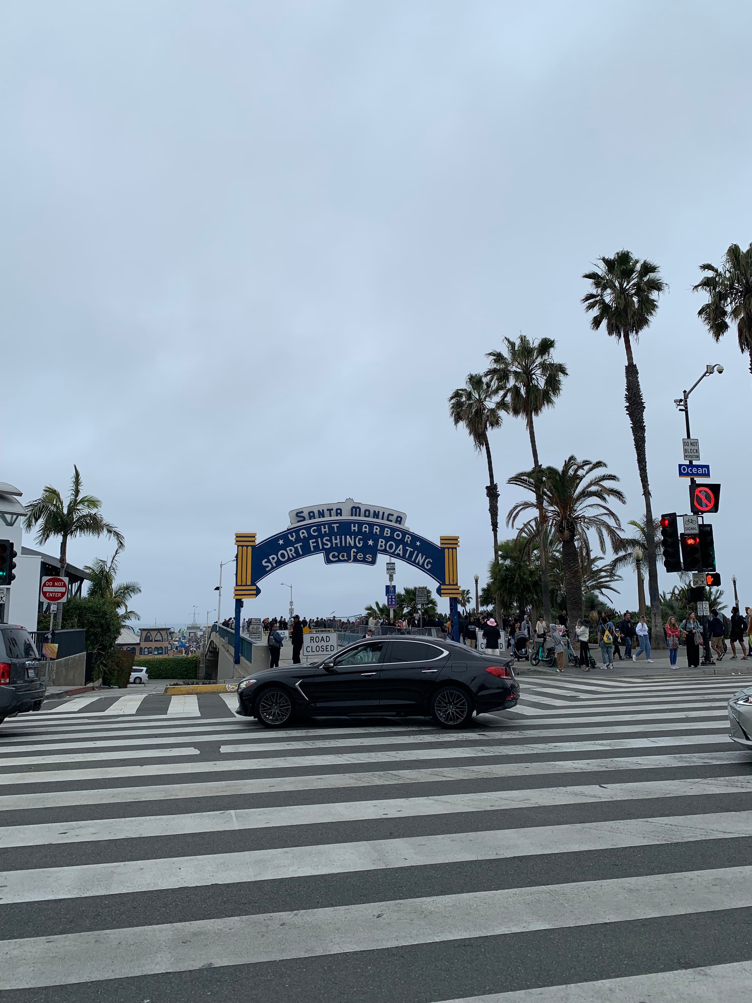 los-angeles-with-bluebottle