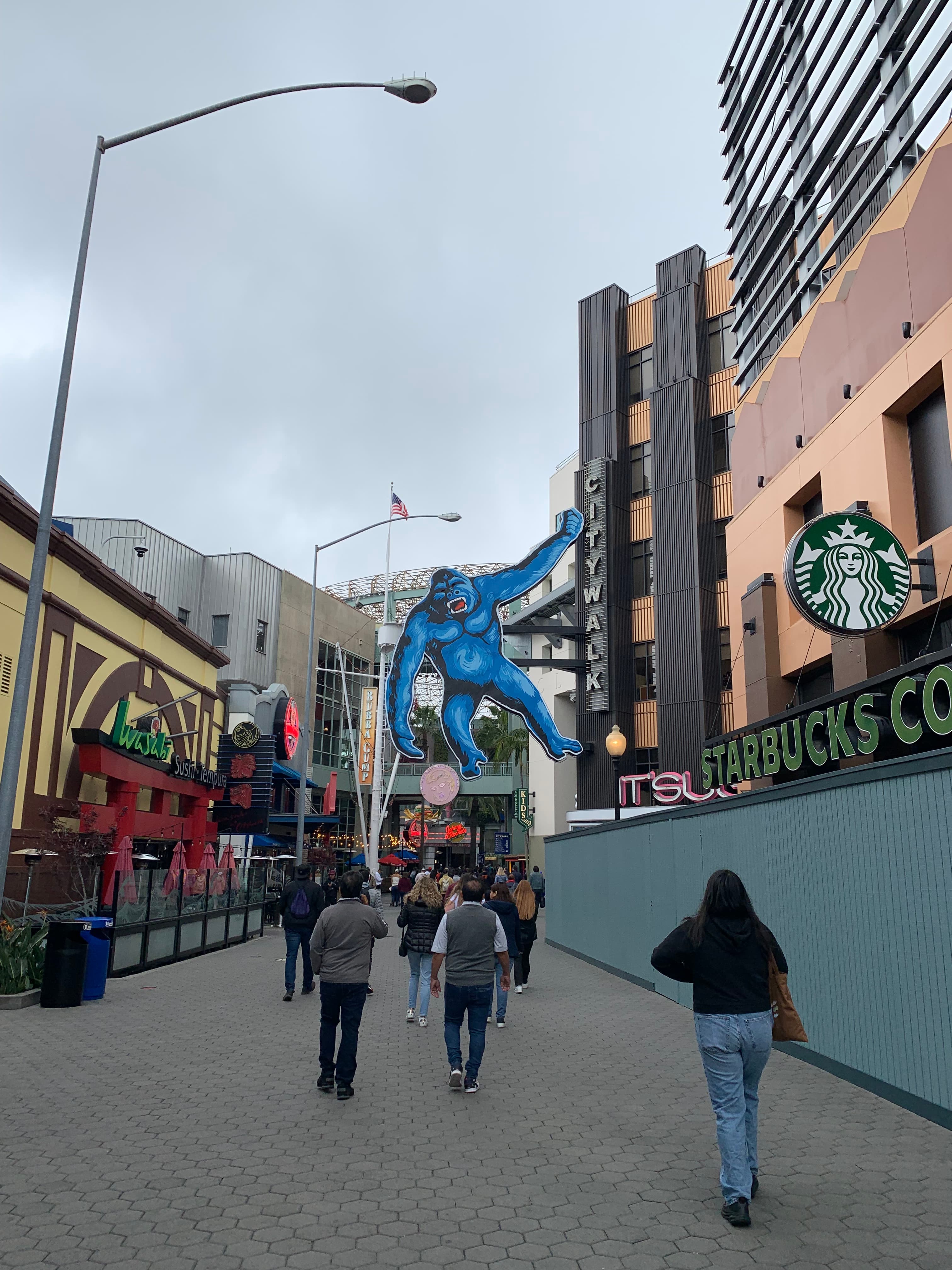 los-angeles-with-bluebottle