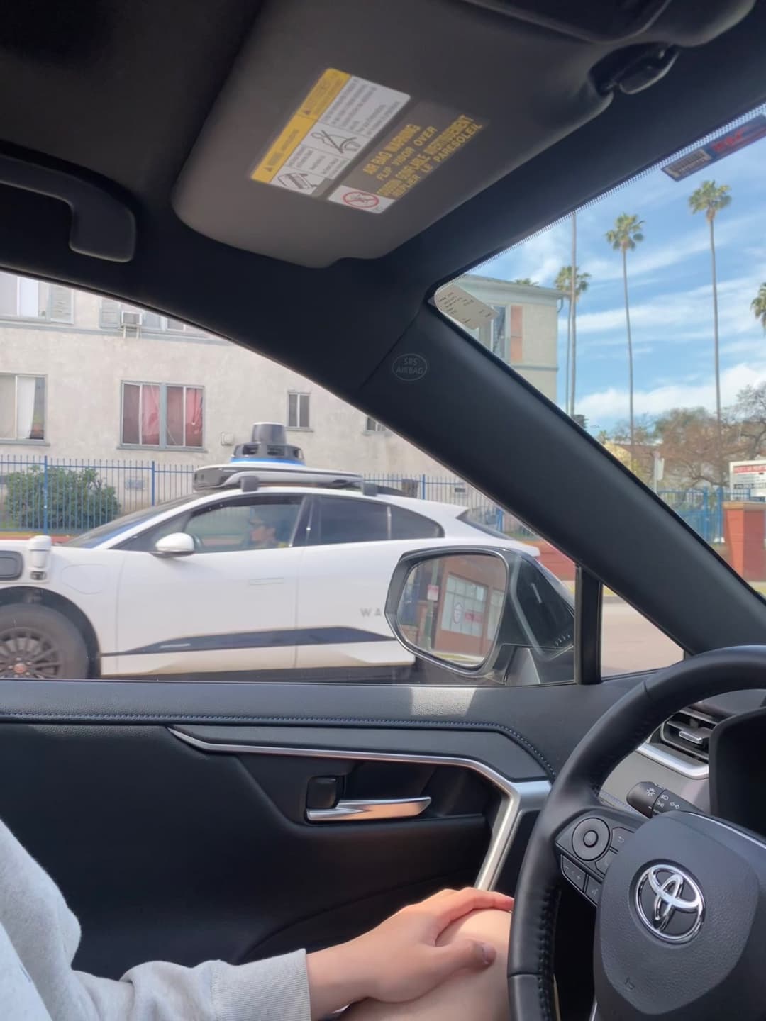 los-angeles-with-bluebottle