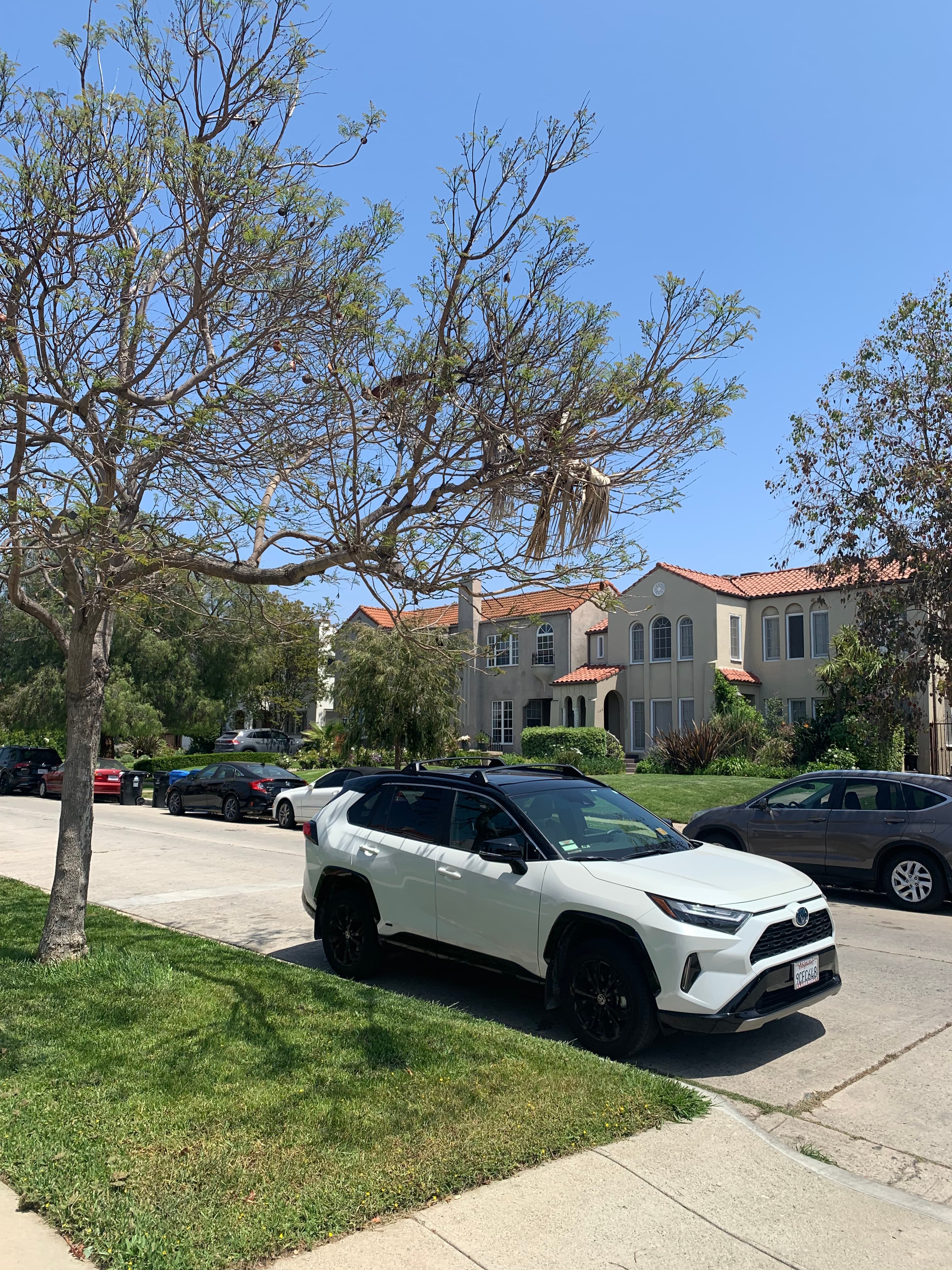 los-angeles-with-bluebottle