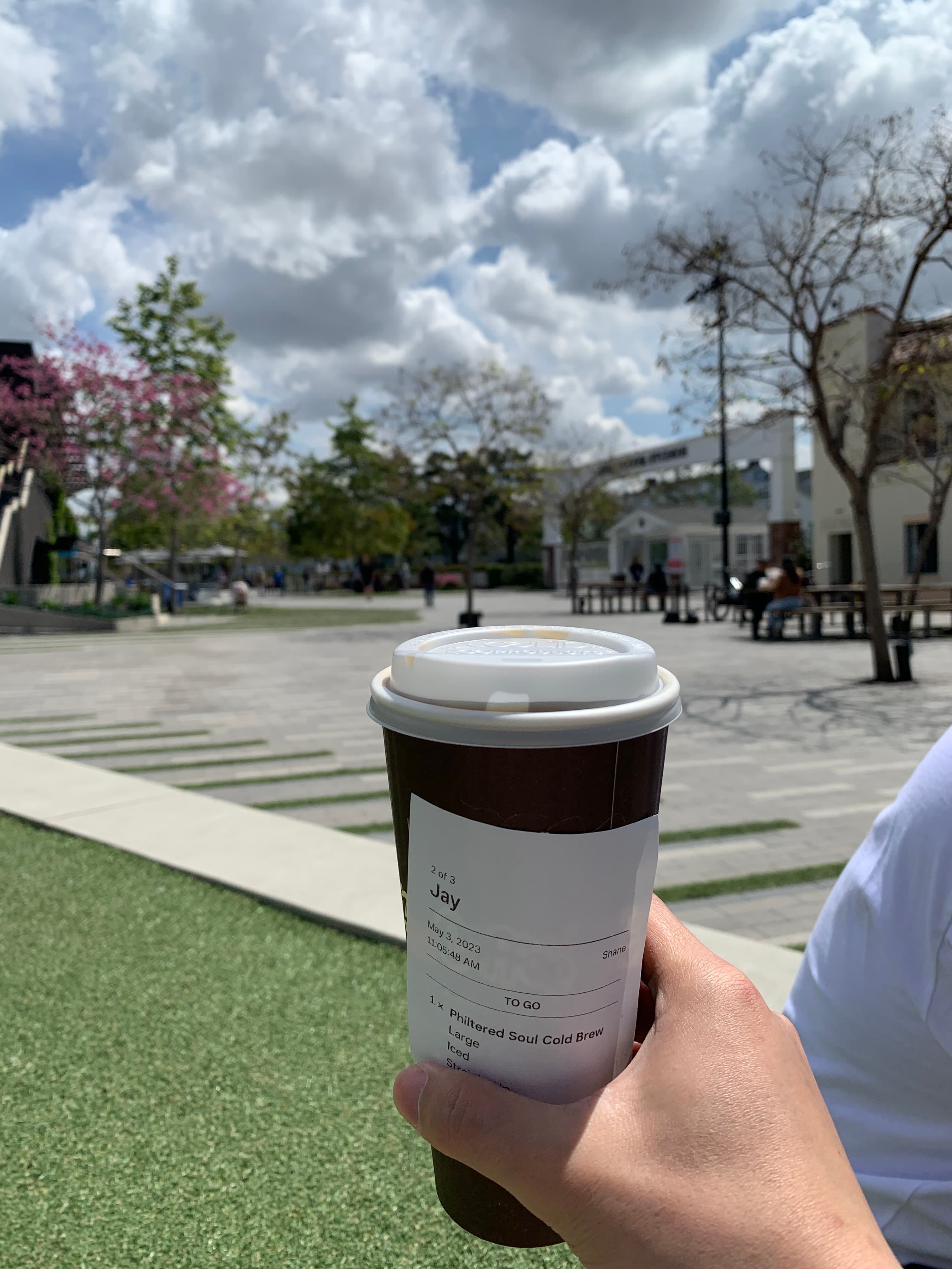 los-angeles-with-bluebottle
