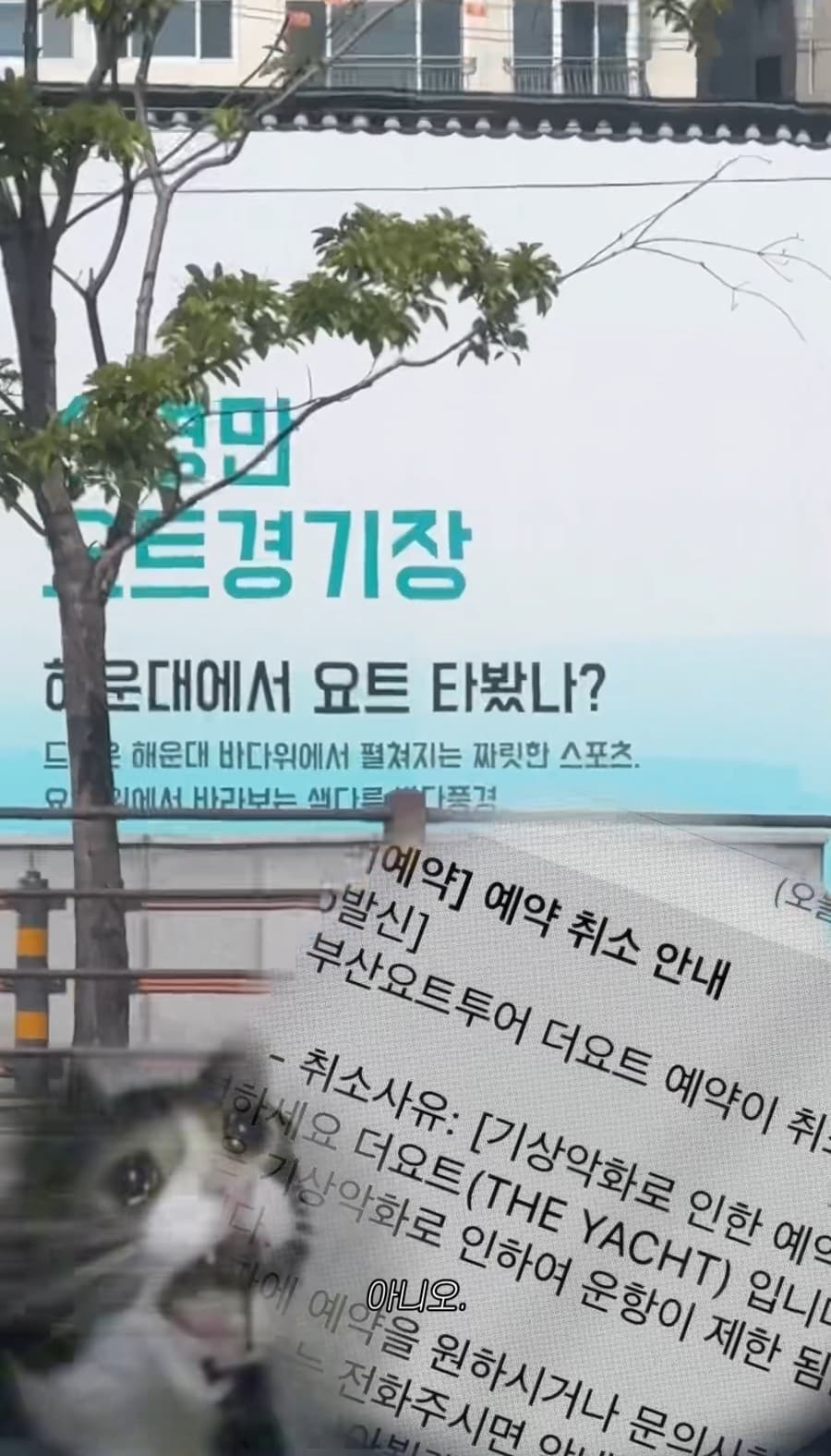 2025-may-busan-10