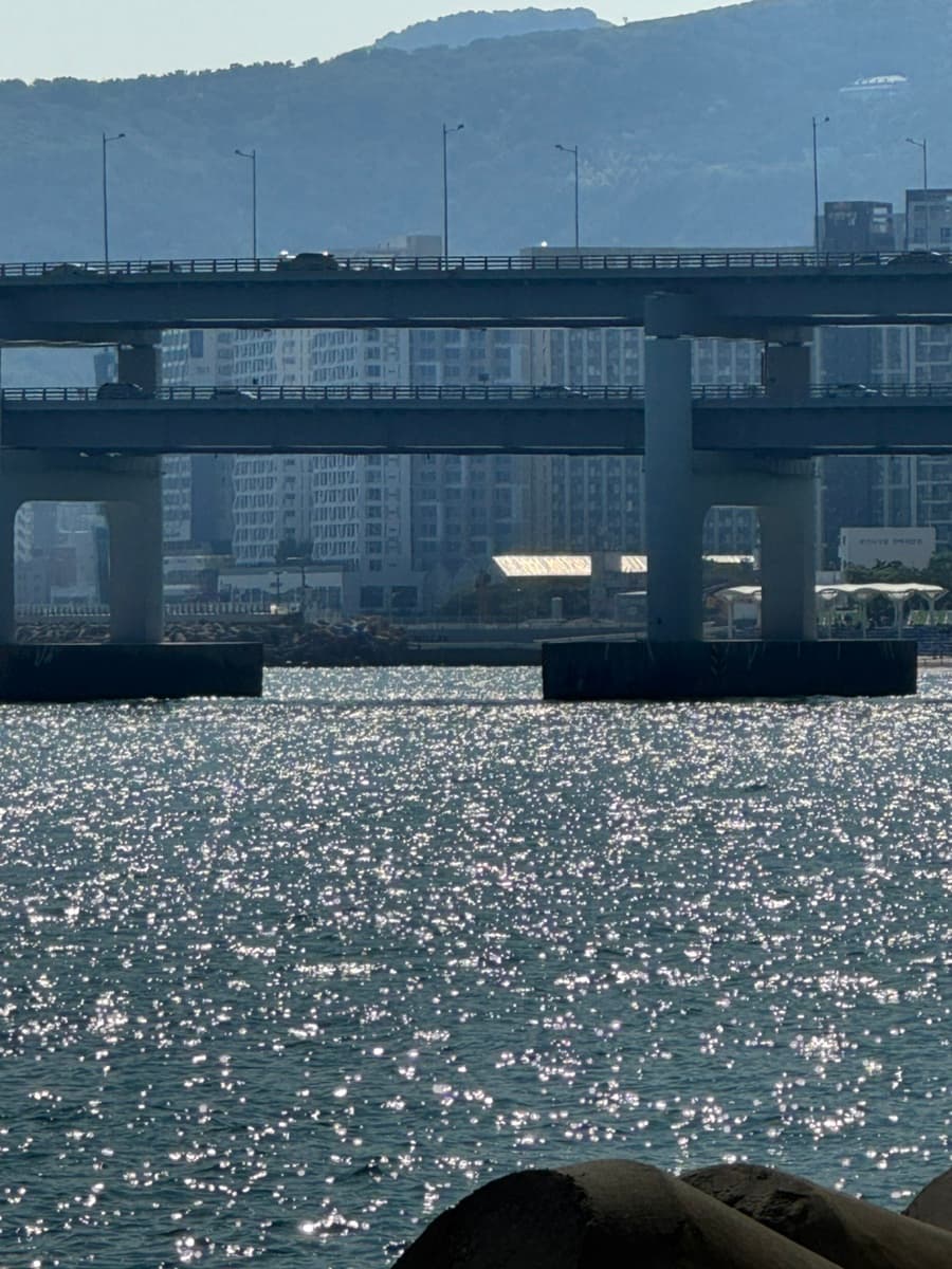 2025-may-busan-39