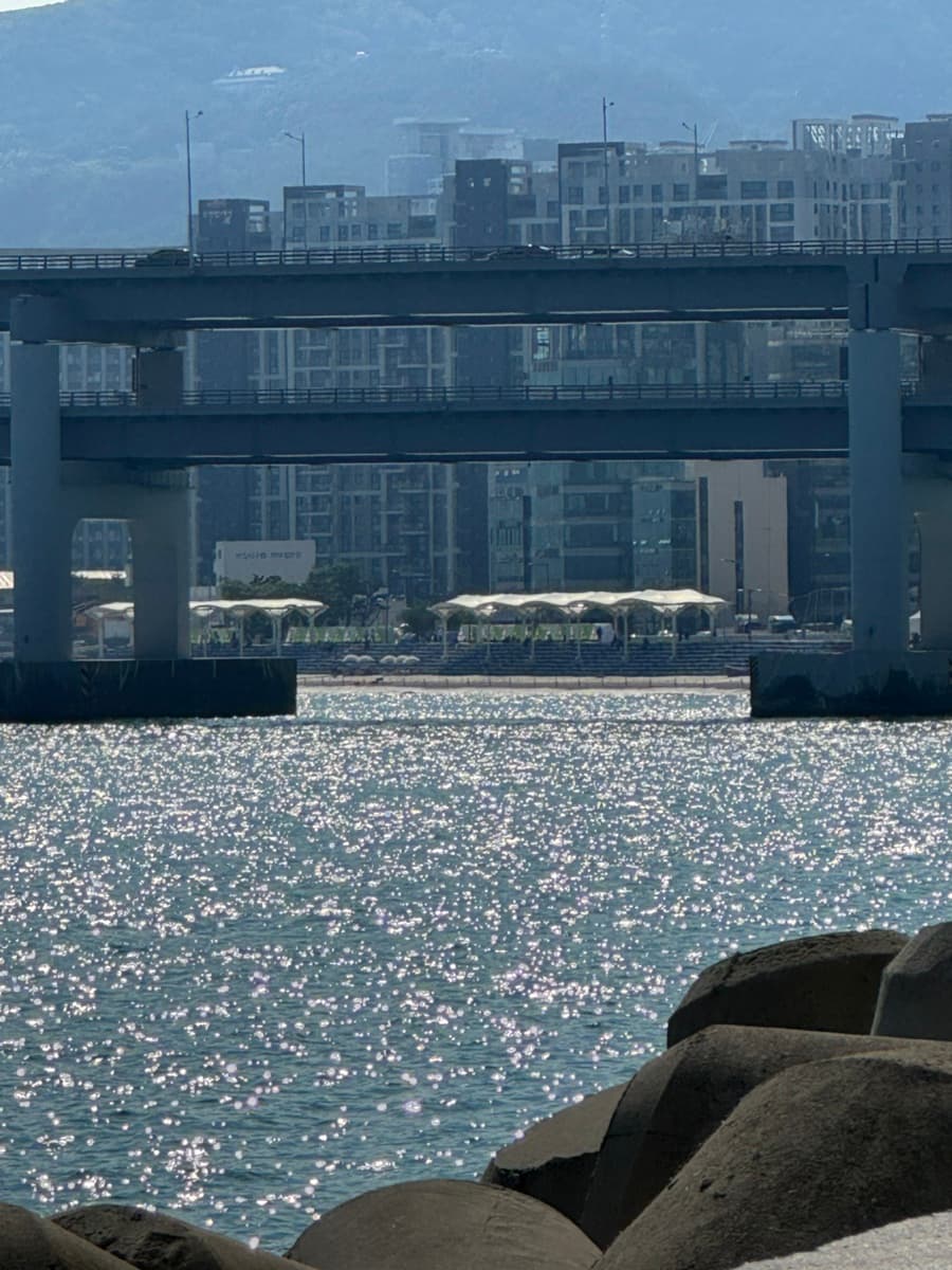 2025-may-busan-40