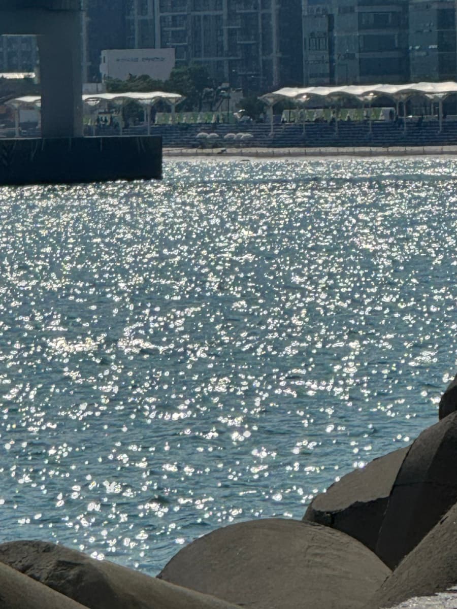 2025-may-busan-41