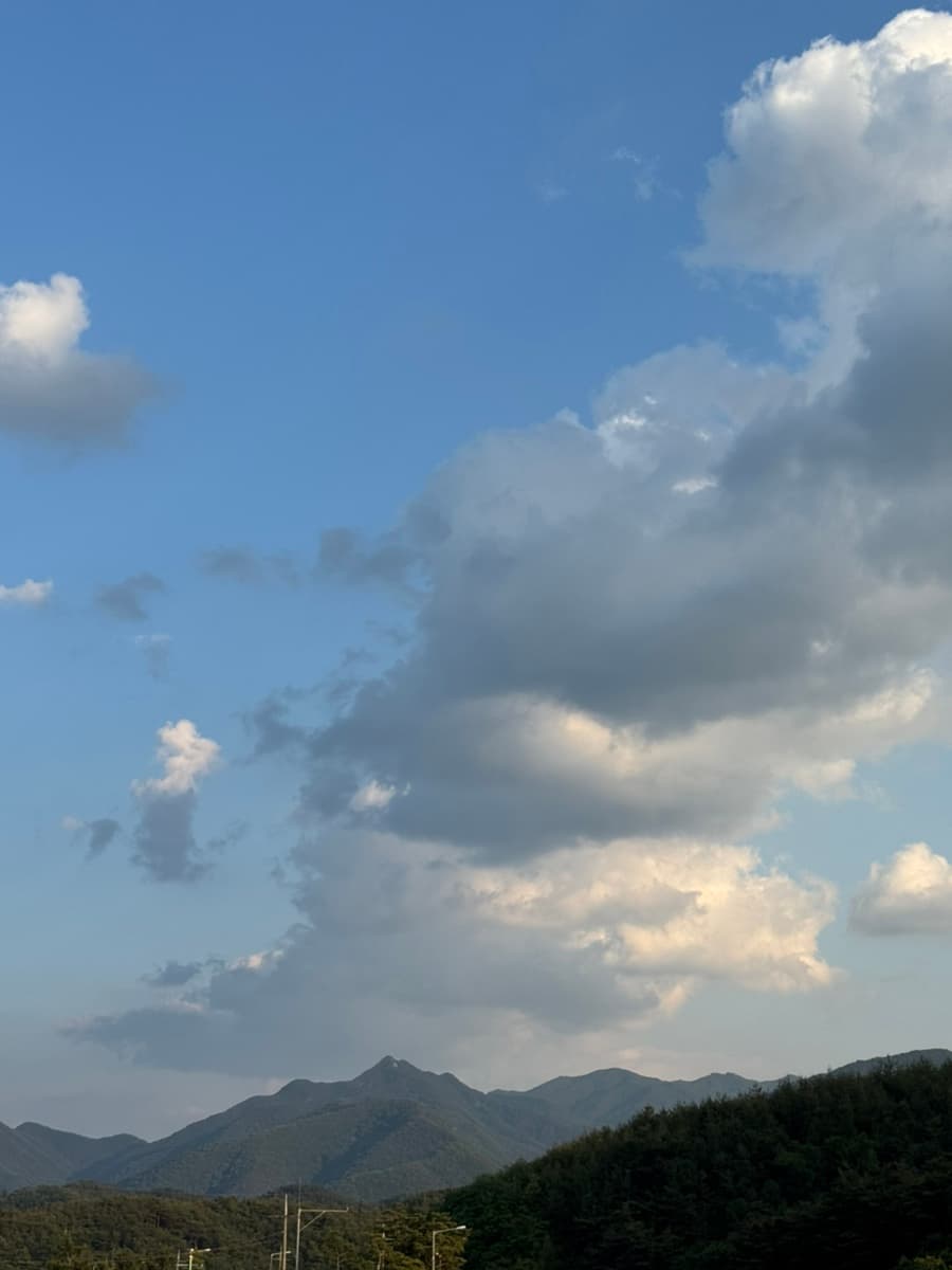 2025-may-busan-43