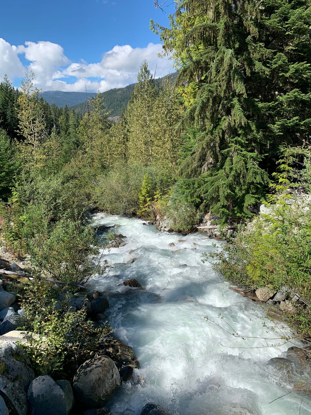 vancouver-home-16