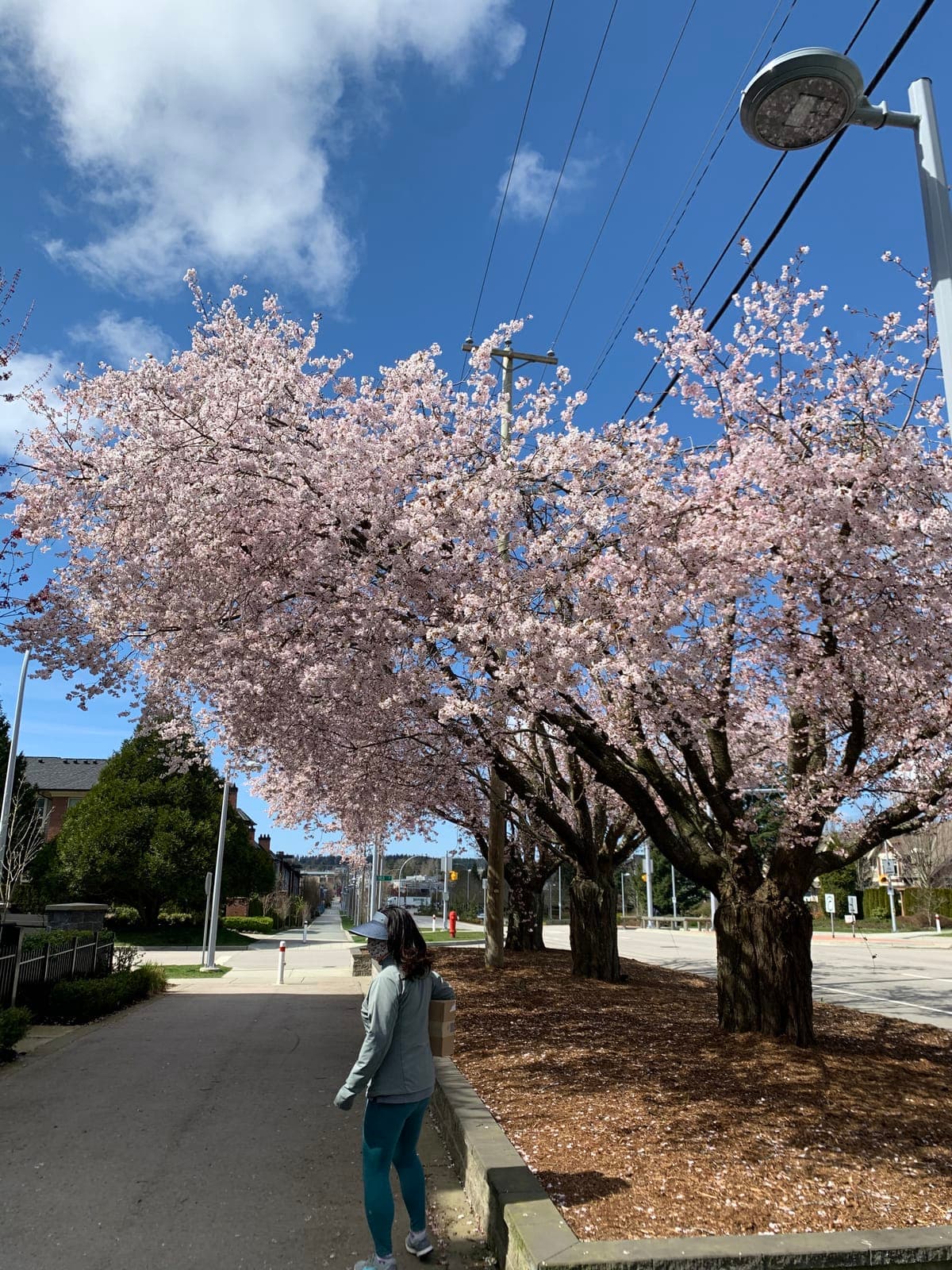 vancouver-home-25