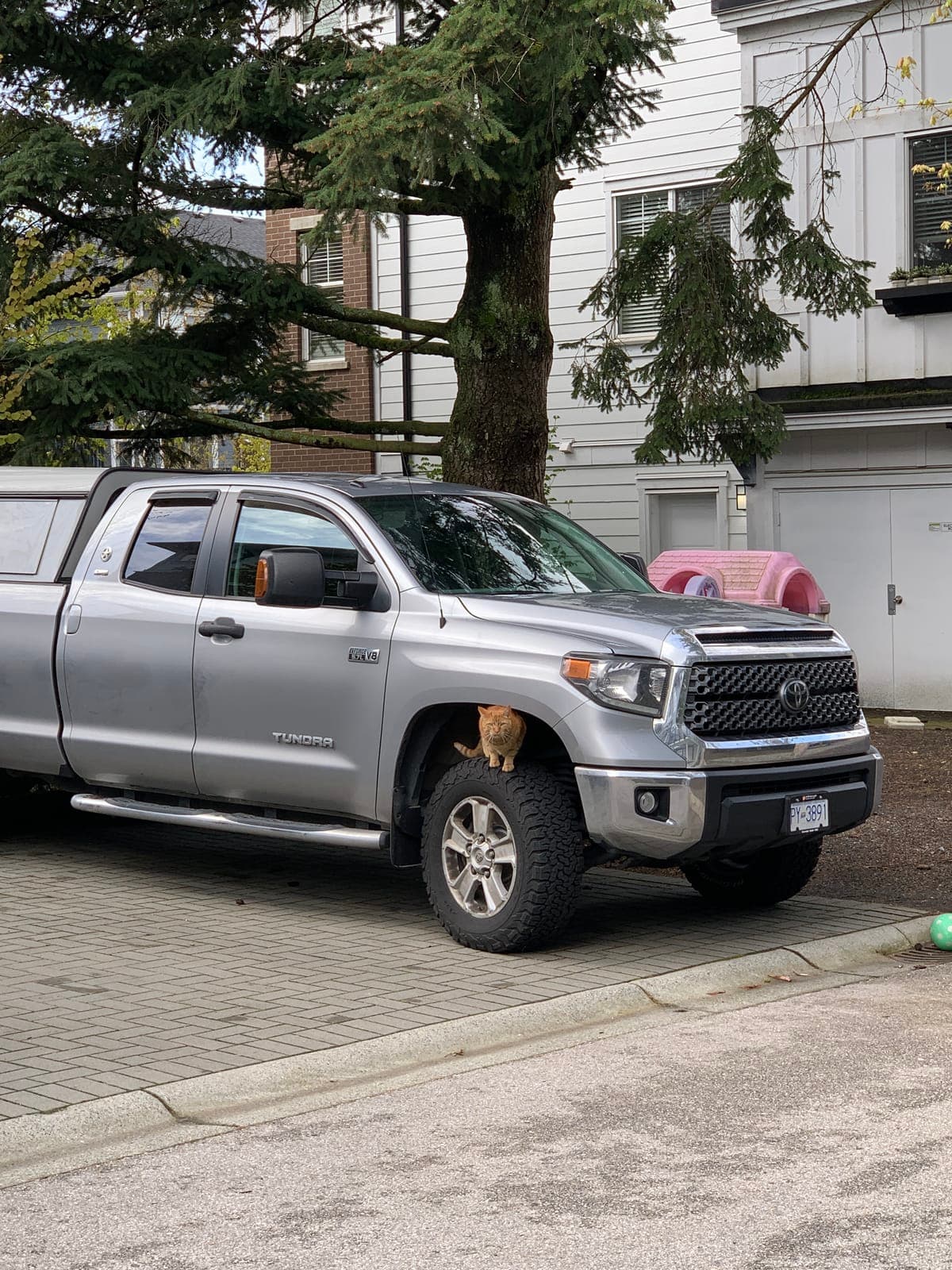 vancouver-home-29