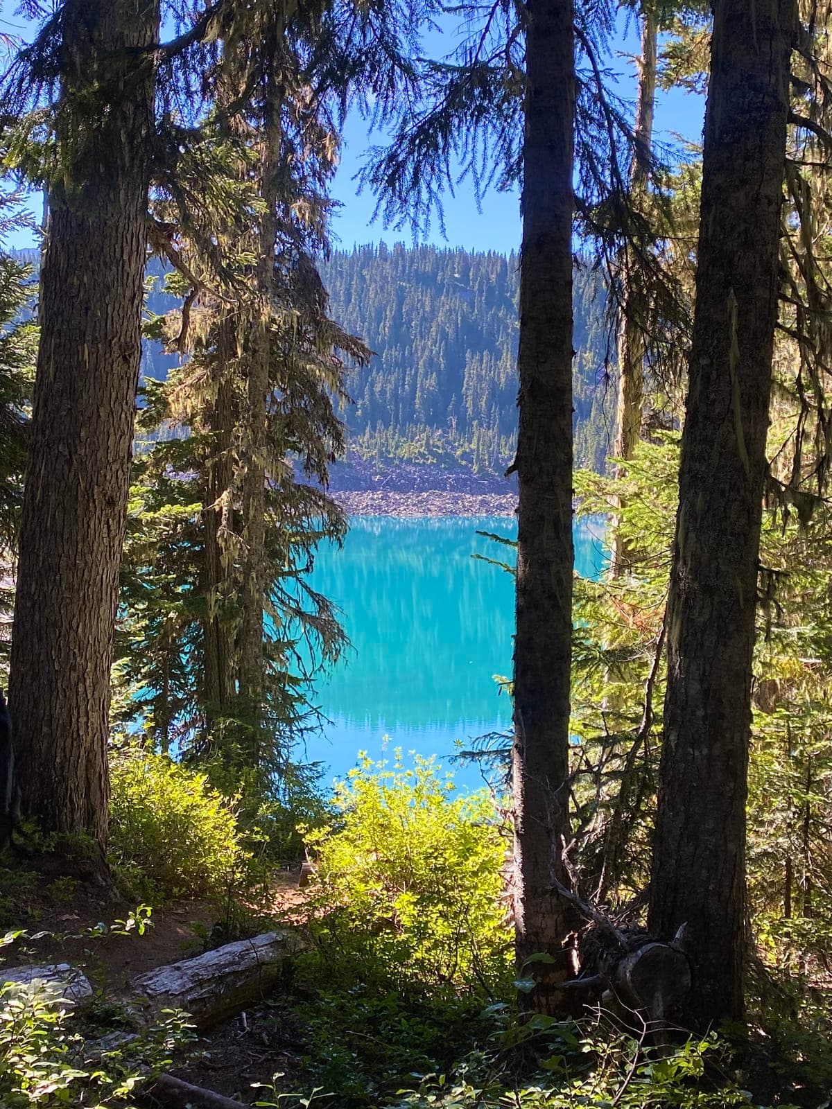 vancouver-home-62