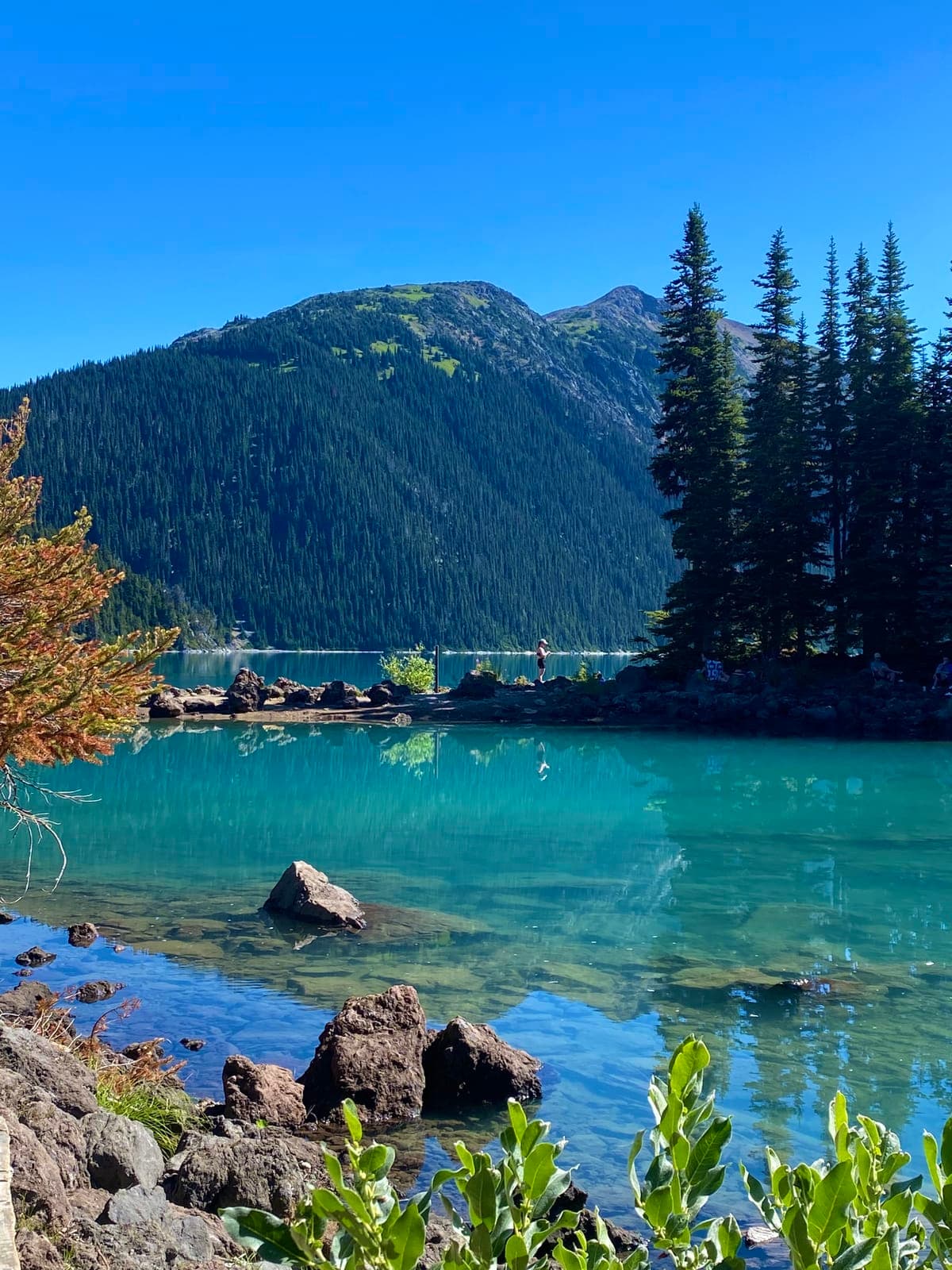 vancouver-home-65