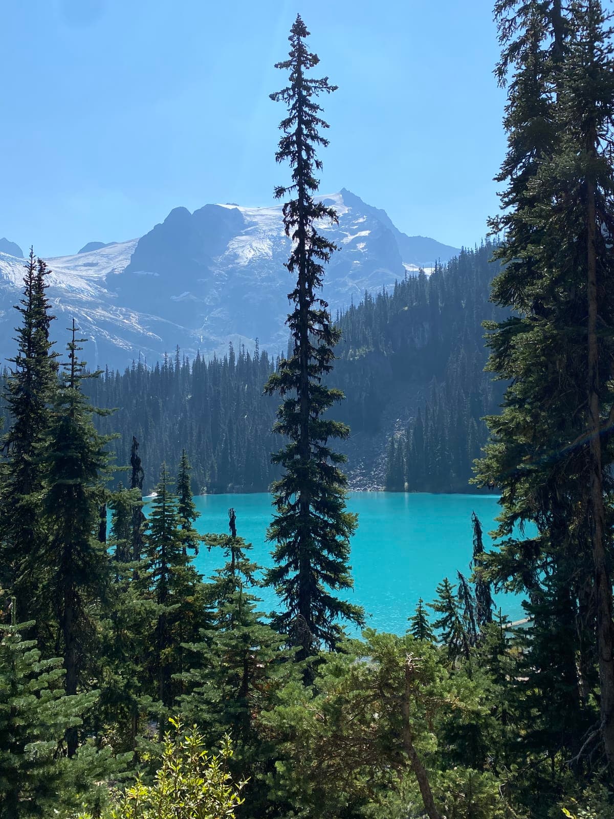 vancouver-home-72
