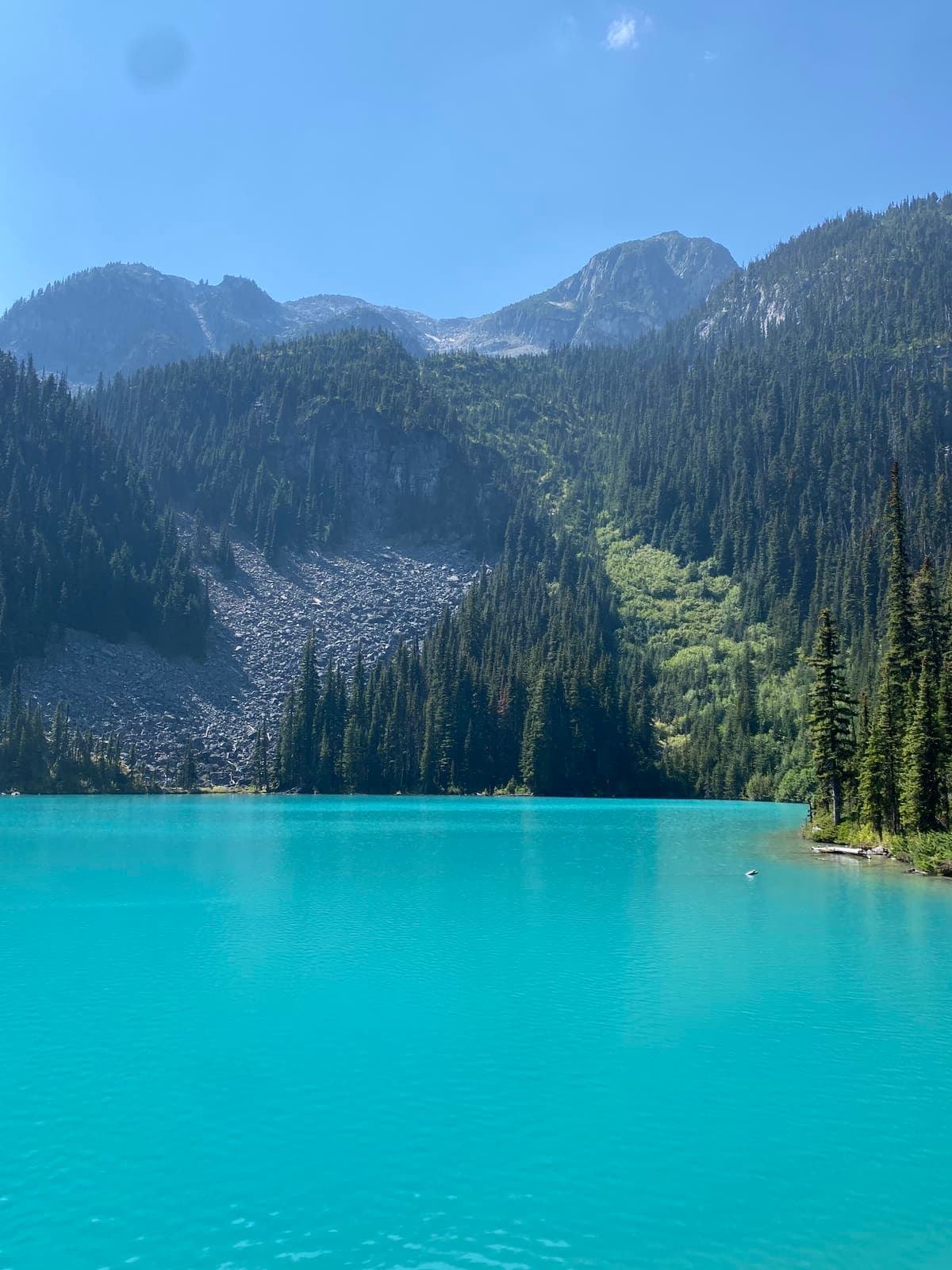 vancouver-home-74