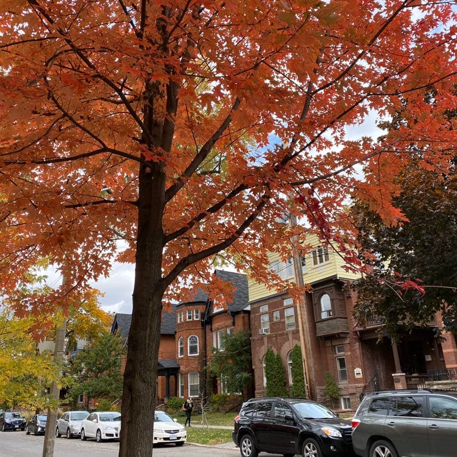 toronto-1