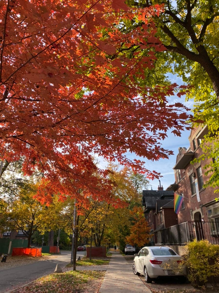 toronto-56