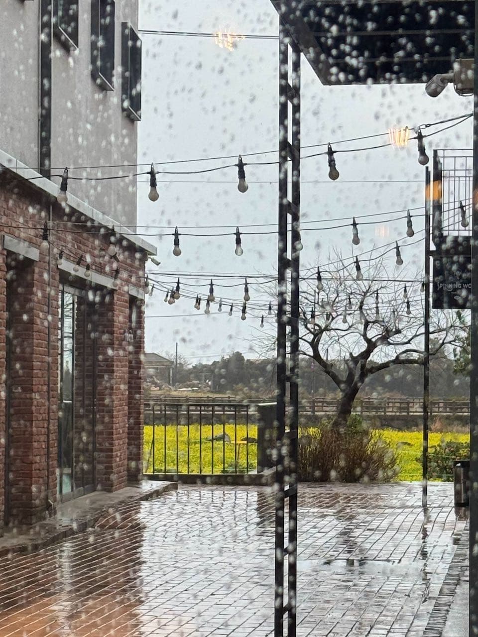 jeju-12