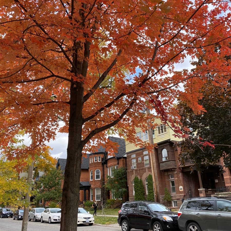 Toronto Trip